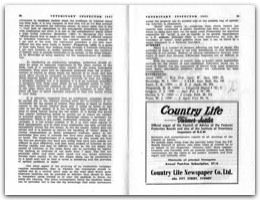 1961 Page 38 39